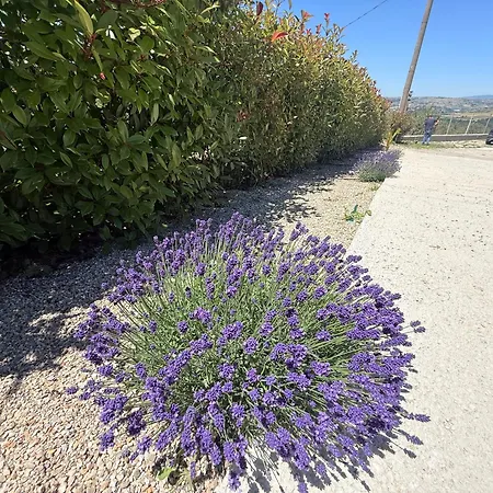 Relais Paradise Lejlighed Apice
